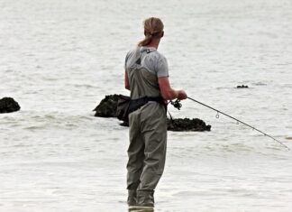 Jak działa zawias Wolnoopadający?