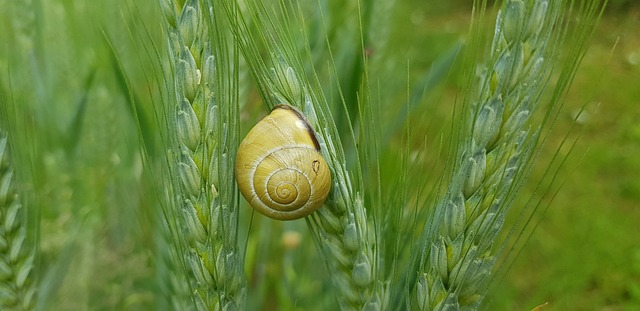 Jak uszczelnić kabinę prysznicową bez brodzika? Jak uszczelnić kabinę prysznicową bez brodzika?