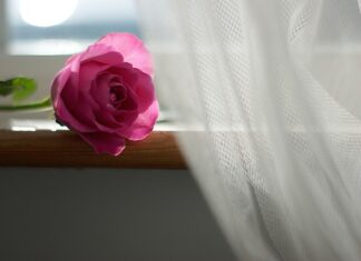 Jak kupować gotowe firanki?