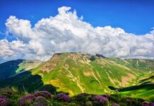 Jak dobrać nakładkę na sedes?