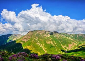 Jak dobrać nakładkę na sedes?