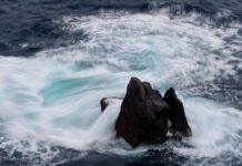 Co to znaczy format 9? Co to znaczy format 9?